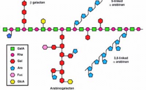 Potato waste could provide 'new generation' of food ingredients Potato waste could provide 'new generation' of food ingredients