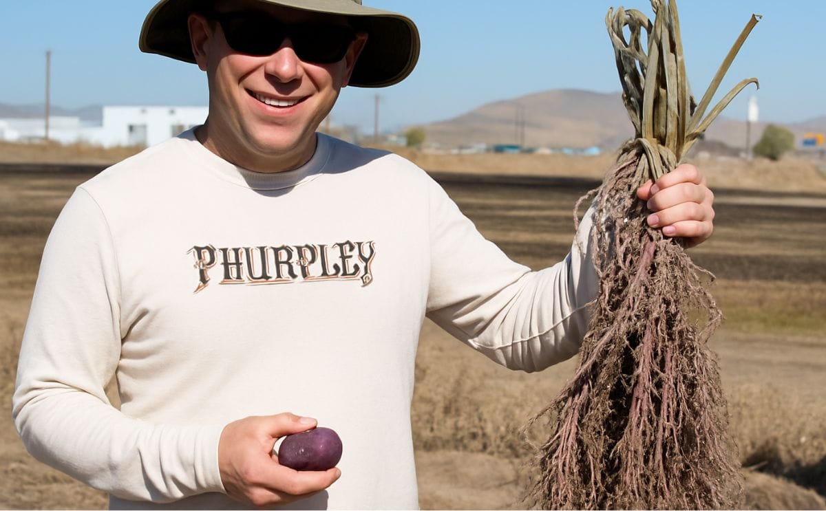 National Potato Council now accepting Scholarship Applications for Graduate Students Advancing the Industry