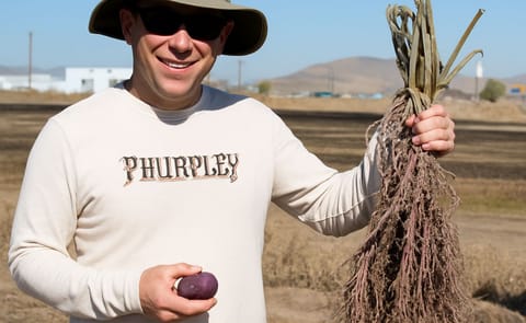 National Potato Council now accepting Scholarship Applications for Graduate Students Advancing the Industry National Potato Council now accepting Scholarship Applications for Graduate Students Advancing the Industry