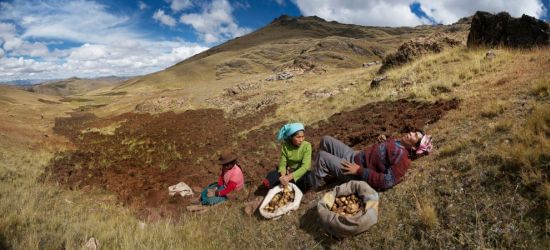 National Geographic fotografía productores de papa peruanos