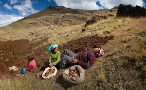 National Geographic fotografía productores de papa peruanos National Geographic fotografía productores de papa peruanos