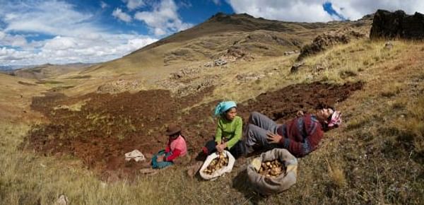 National Geographic fotografía productores de papa peruanos