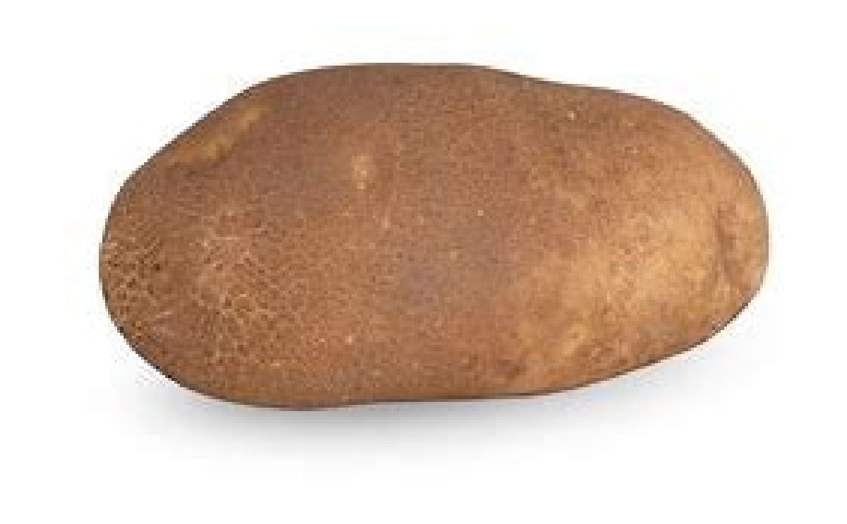 RICKEY RUSSET RICKEY RUSSET
