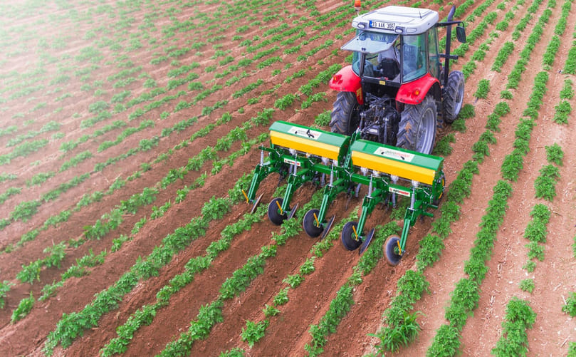 Inter-Row Cultivator Weeding Between Potato Plants Inter-Row Cultivator Weeding Between Potato Plants