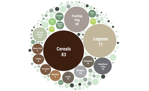 RinoTec™ Technology has been tested in a wide range of environments including in-vitro, lab, greenhouse, micro-plot, and field trials. RinoTec™ Technology has been tested in a wide range of environments including in-vitro, lab, greenhouse, micro-plot, and field trials.