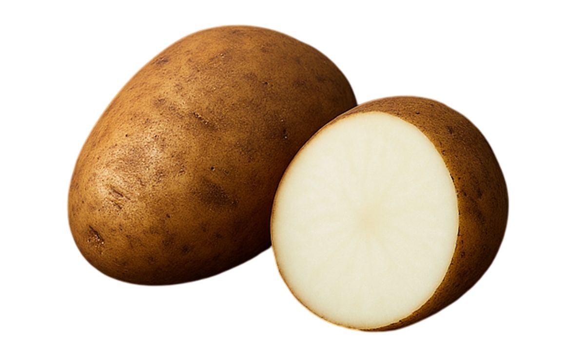 RIVERINA RUSSET RIVERINA RUSSET
