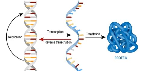 Many of us remember RNA from high school biology, where we were taught that the RNA molecule reads DNA, then makes proteins to carry out tasks