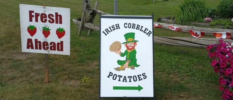 Roadside stands selling early potatoes are popping up across P.E.I. Roadside stands selling early potatoes are popping up across P.E.I.