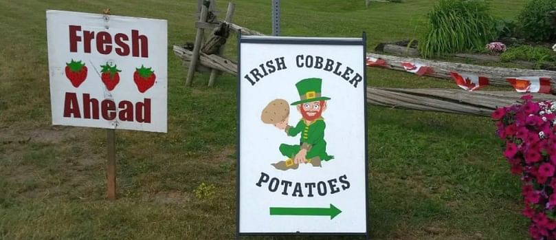 Roadside stands selling early potatoes are popping up across P.E.I.
