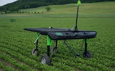 Robot que desyerba de manera autónoma (Ecorobotix) Robot que desyerba de manera autónoma (Ecorobotix)