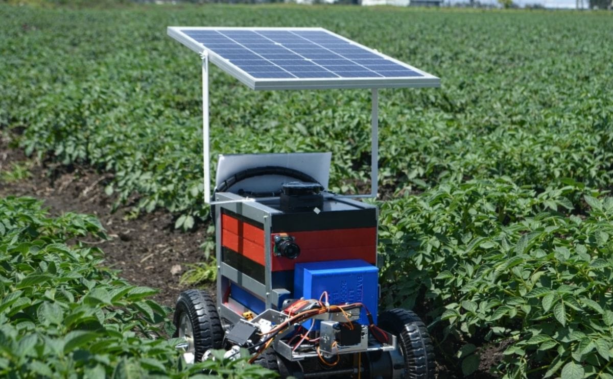 Robot autónomo desarrollado en Colombia analiza el suelo y detecta enfermedades en cultivos de papa para mejorar la eficiencia y sostenibilidad