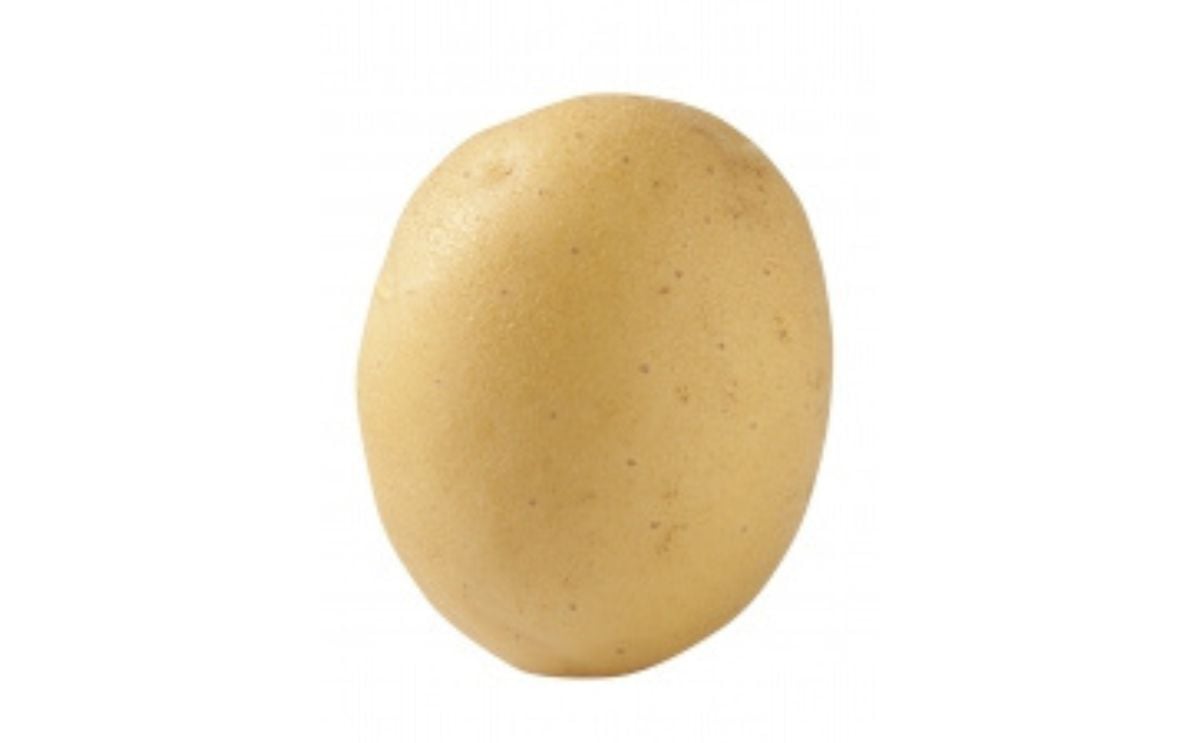 ROCK ROCK