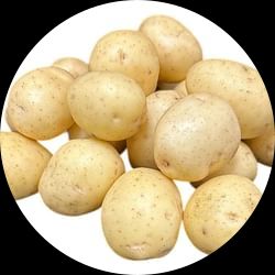 Penni Seed Potatoes