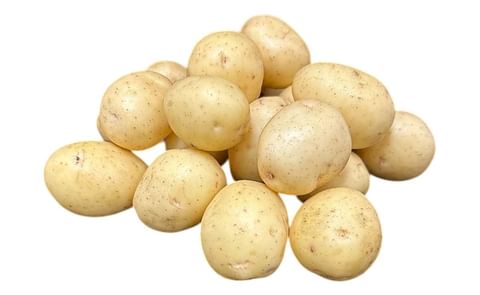 Rockyview Elite Tuber Penni Seed Potatoes Rockyview Elite Tuber Penni Seed Potatoes