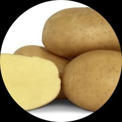 Francis Seed Potatoes