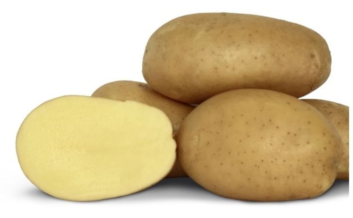 Rockyview Elite Tuber Francis Seed Potatoes Rockyview Elite Tuber Francis Seed Potatoes