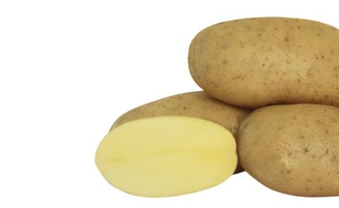 Rockyview Elite Tuber Montis Seed Potatoes Rockyview Elite Tuber Montis Seed Potatoes