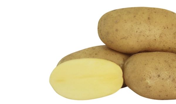 Rockyview Elite Tuber Montis Seed Potatoes Rockyview Elite Tuber Montis Seed Potatoes