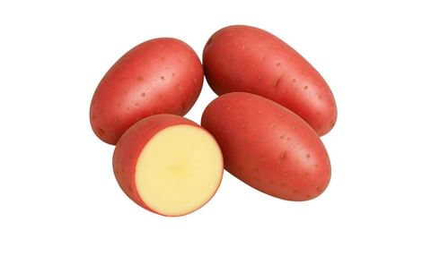 RODE EERSTELING RODE EERSTELING