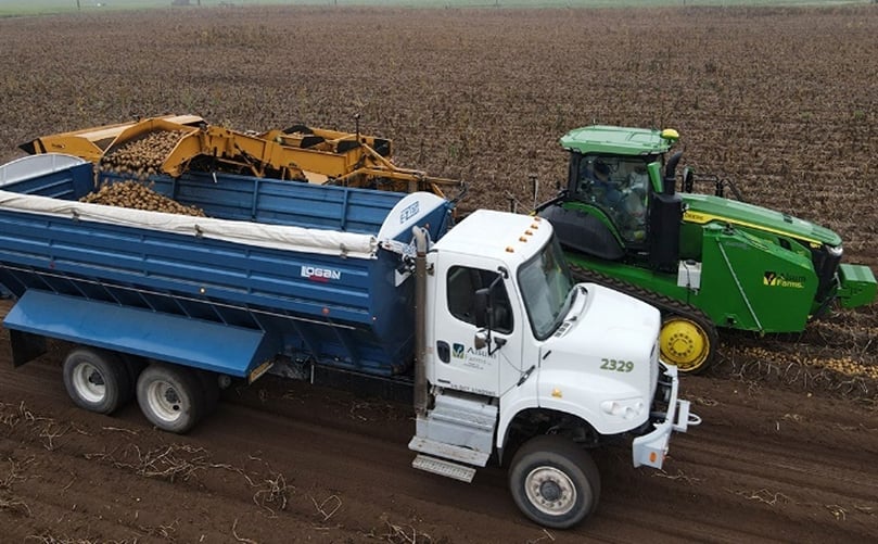 Alsum Farms leads sustainable farming with nearly 30 years in the Healthy Grown Program, growing eco-friendly russet, red, and yellow potatoes.