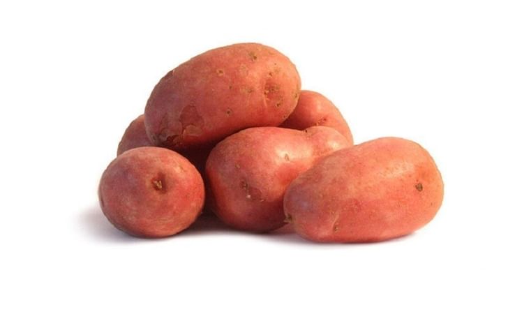 ROSE DE FRANCE ROSE DE FRANCE