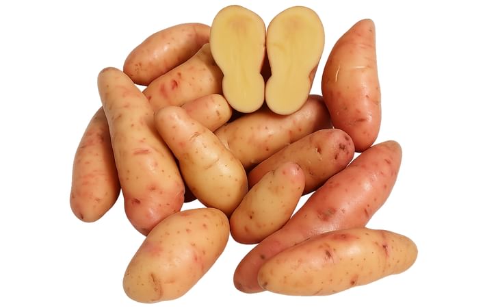 Rose Finn Apple Rose Finn Apple