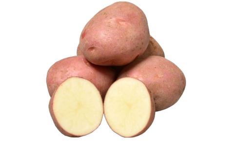 ROSEGARDEN ROSEGARDEN