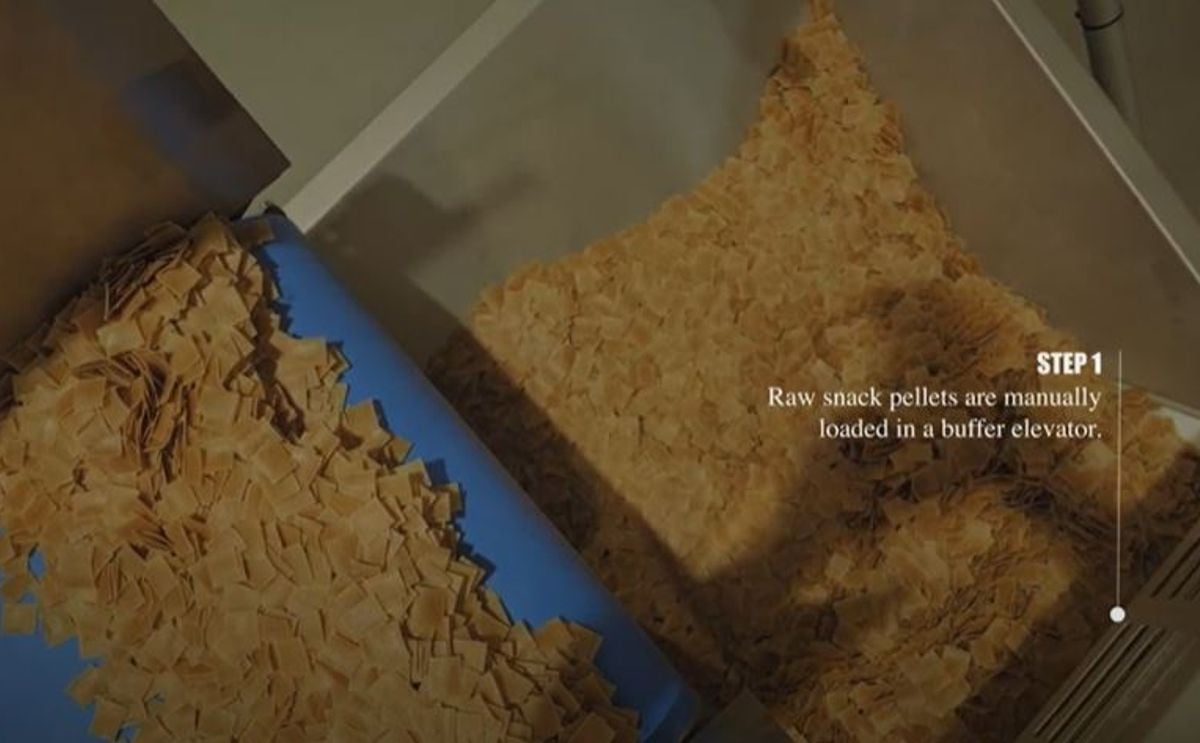 Rosenqvists Snack Pellet Frying Line