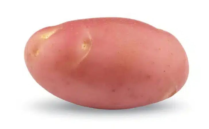ROSI ROSI