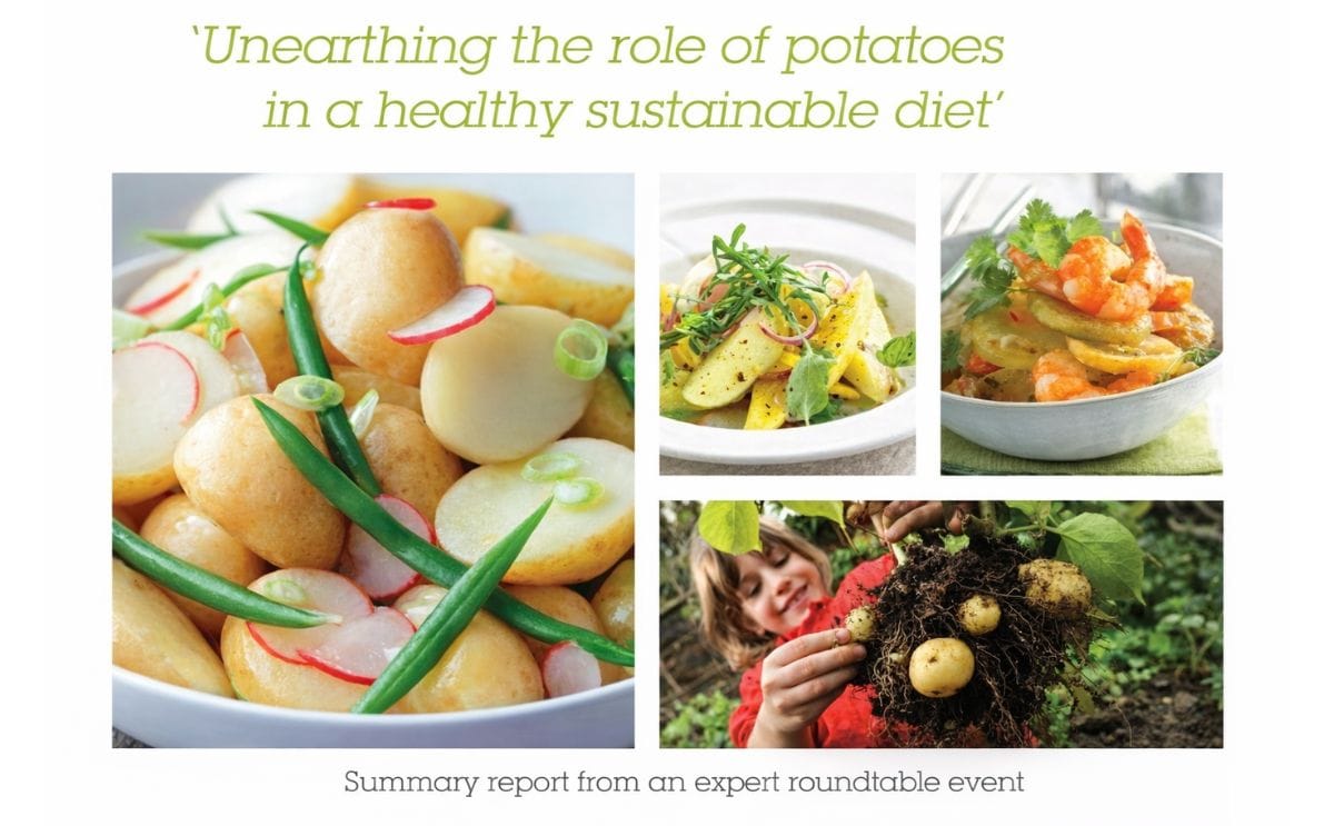 Roundtable Report Potato Council: Unearthing the role of potatoes in a healthy sustainable diet Roundtable Report Potato Council: Unearthing the role of potatoes in a healthy sustainable diet