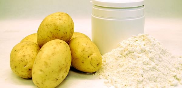Royal Avebe increases its Solanic potato protein production to keep up with market demand
