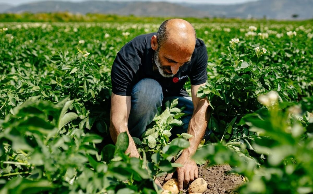 Royal HZPC Group celebrates a record-breaking year, surpassing €500 million in global revenue and 1 million tons of seed potatoes traded, reflecting strong growth across all markets.