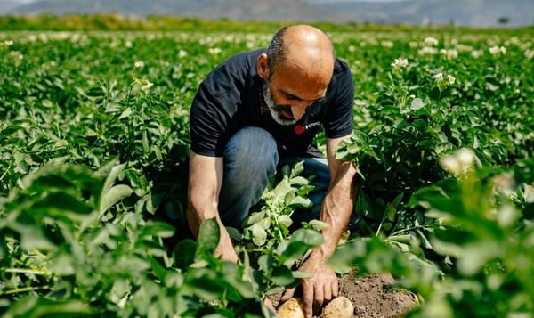 Royal HZPC Group celebrates a record-breaking year, surpassing €500 million in global revenue and 1 million tons of seed potatoes traded, reflecting strong growth across all markets. Royal HZPC Group celebrates a record-breaking year, surpassing €500 million in global revenue and 1 million tons of seed potatoes traded, reflecting strong growth across all markets.