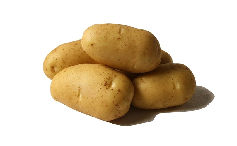 The potato variety Primavera from Royal-ZAP/Semagri is a very good early/mid-early variety that's perfect for French fries The potato variety Primavera from Royal-ZAP/Semagri is a very good early/mid-early variety that's perfect for French fries
