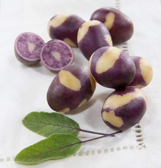 The Potato variety "Blushing Violet" The Potato variety "Blushing Violet"