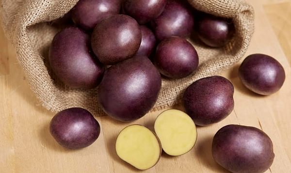 RPE to Launch New Potato Varieties This Fall
