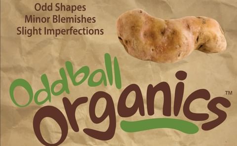 Oddball Organics ™ - "extra-ordinary" potatoes that offer a viable option for growers, shippers, and consumers to save money and reduce waste. Oddball Organics ™ - "extra-ordinary" potatoes that offer a viable option for growers, shippers, and consumers to save money and reduce waste.