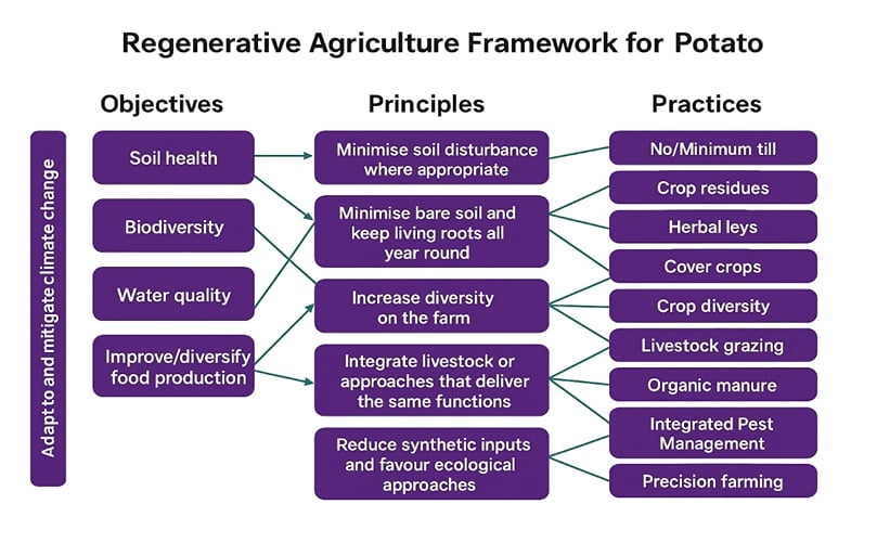 Principles and Practices of Regenerative Potato Farming CAPTION