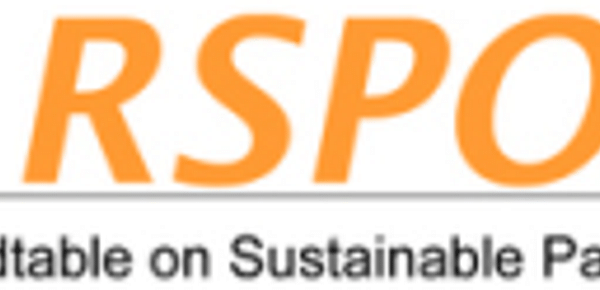  Roundtable on Sustainable Palm Oil (RSPO)