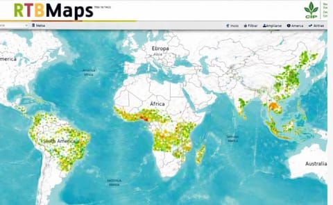 Herramienta que ayuda a elegir dónde investigar sobre raíces y tubérculos para mejorar seguridad alimentaria recibe premio internacional Herramienta que ayuda a elegir dónde investigar sobre raíces y tubérculos para mejorar seguridad alimentaria recibe premio internacional