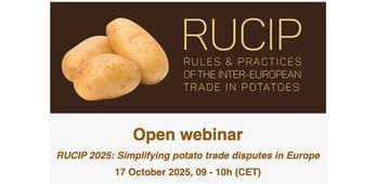 RUCIP 2025 Edition Webinar
