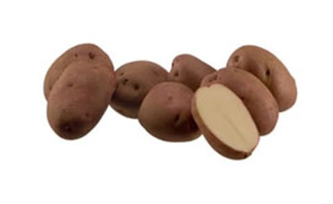 Spuds we like: Why potatoes are flavour of the month Spuds we like: Why potatoes are flavour of the month