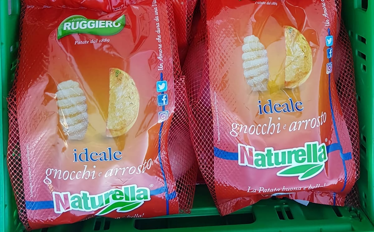 The Ruggiero company inaugurates two new plants The Ruggiero company inaugurates two new plants