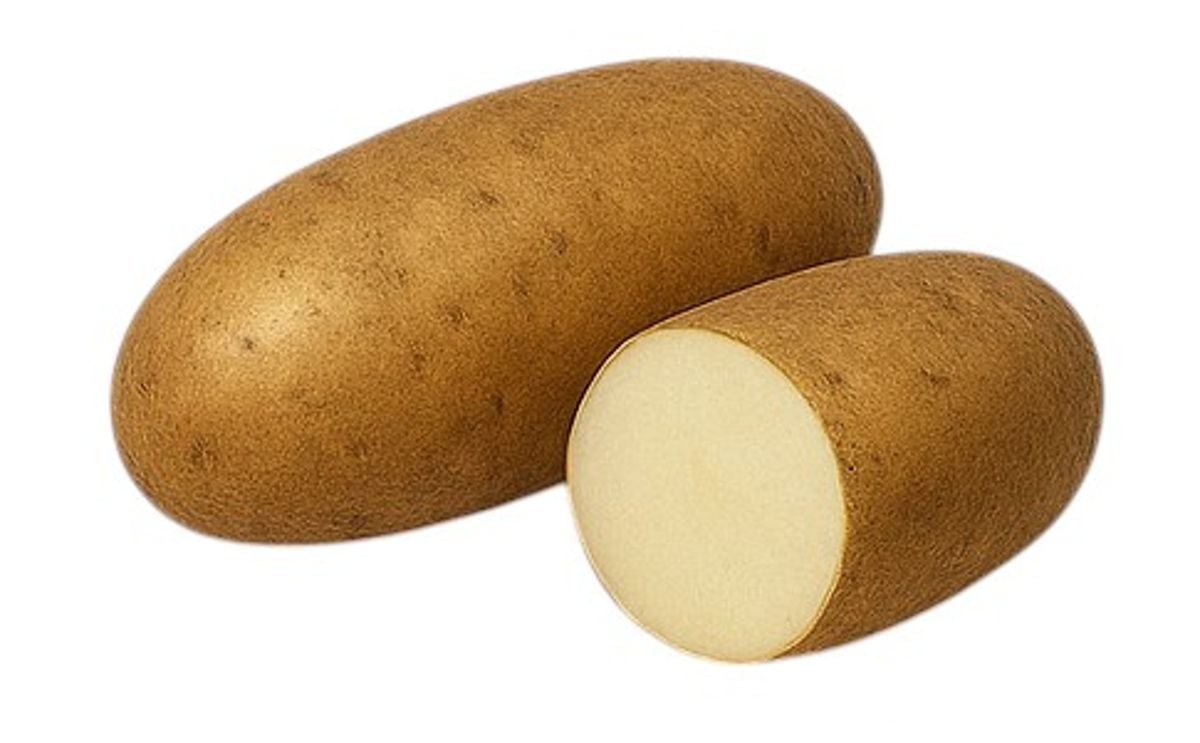 RURAL RUSSET RURAL RUSSET