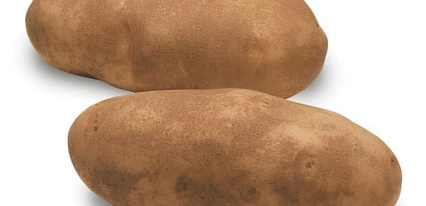 Russet Burbank (Courtesy Idaho Potato Commission)