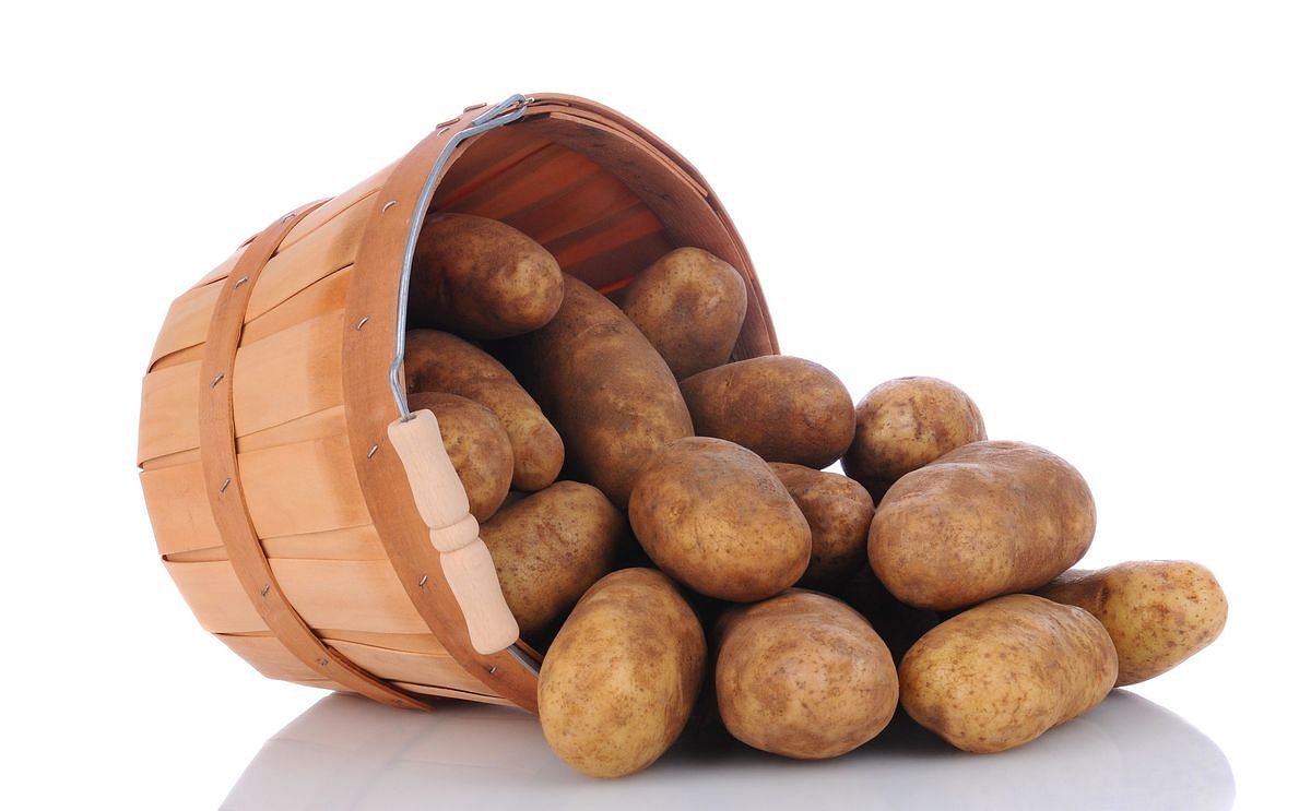 Potatoes Annual Summary: 2017 US Potato Production Up Slightly