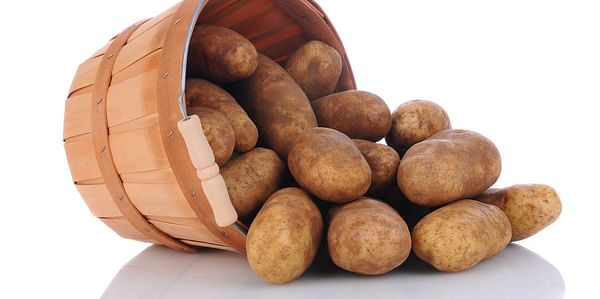 Potatoes Annual Summary: 2017 US Potato Production Up Slightly