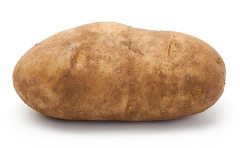 Russet Burbank Russet Burbank