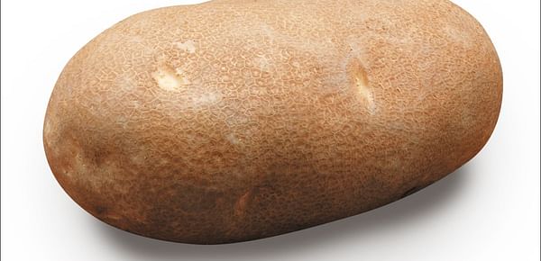 Idaho Potato Growers report lower yield in early Norkotah Harvest