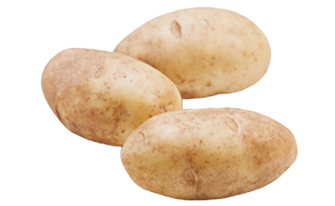 Russet Norkotah Russet Norkotah
